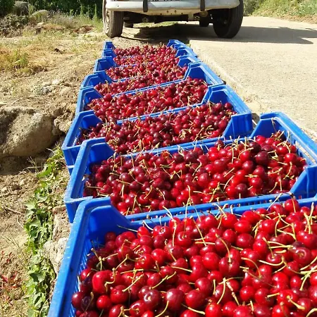 Landhaus Mirador Del Valle