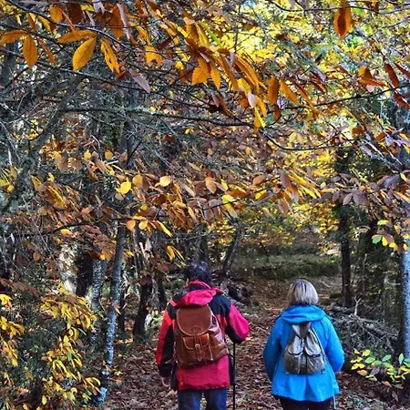 Mirador Del Valle Cepeda