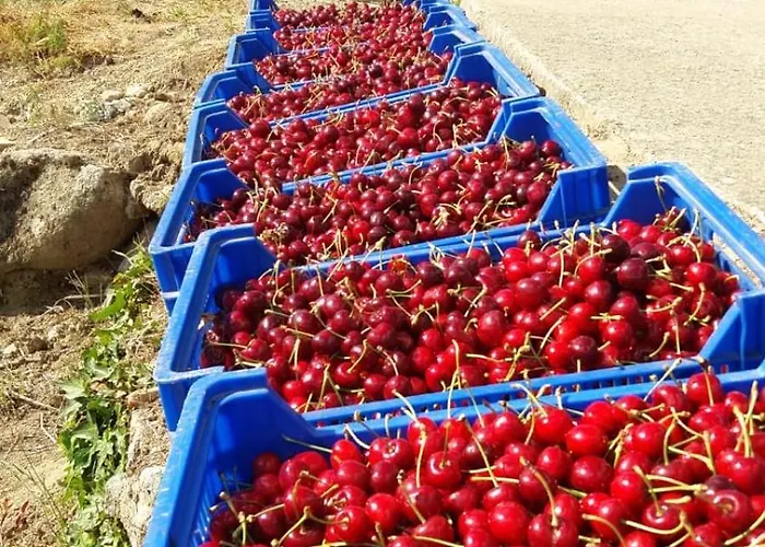 컨트리하우스 Mirador Del Valle