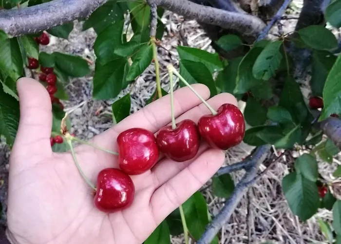 Mirador Del Valle 컨트리하우스