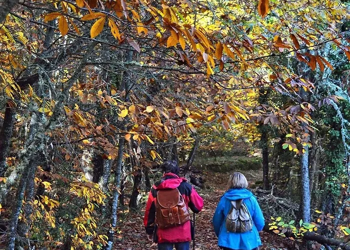Mirador Del Valle Cepeda